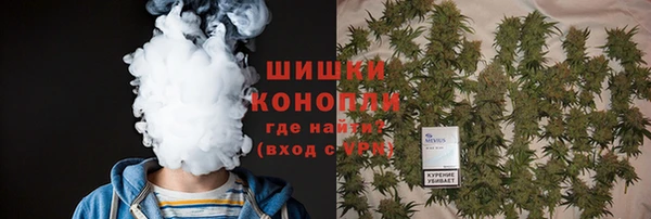 Альфа ПВП Верея