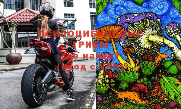 Альфа ПВП Верея