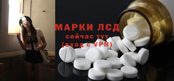 Альфа ПВП Верея
