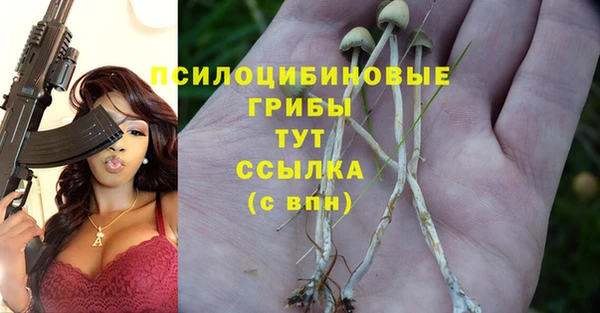 Альфа ПВП Верея