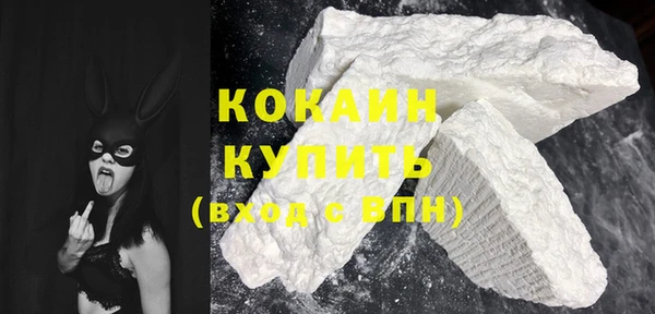 Альфа ПВП Верея