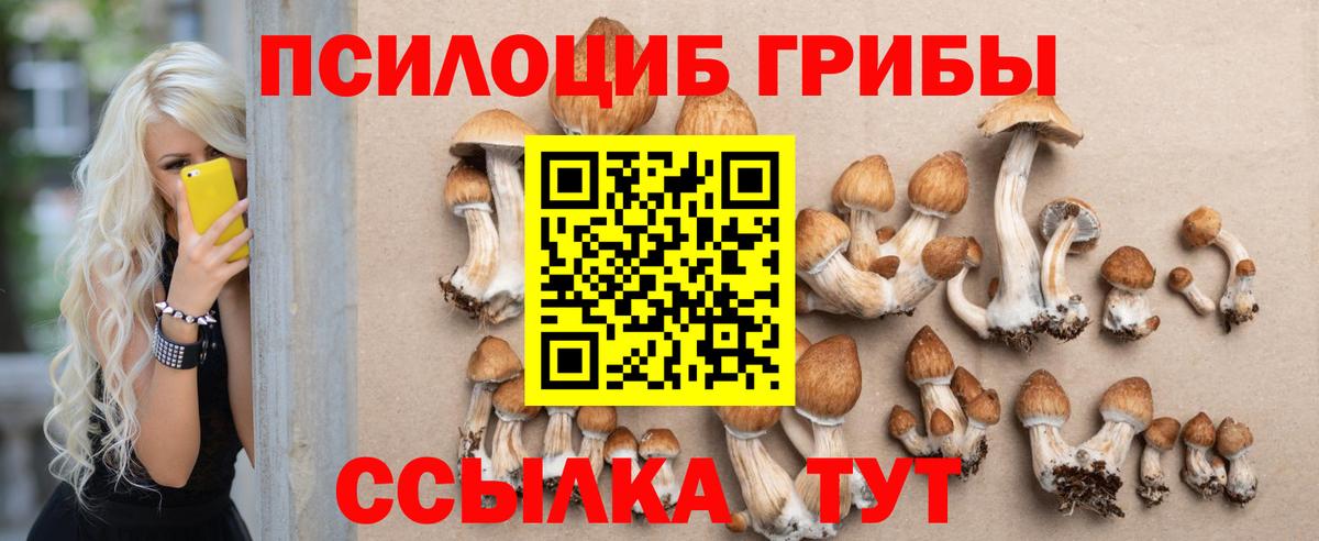 Воткинск  Галлюциногенные грибы GOLDEN TEACHER  Вход с VPN  Псилоцибиновые грибы прущие грибы 