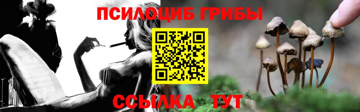 Псилоцибиновые грибы GOLDEN TEACHER Воткинск